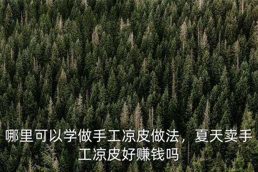 廣東哪里有手工涼皮,夏天賣手工涼皮好賺錢嗎