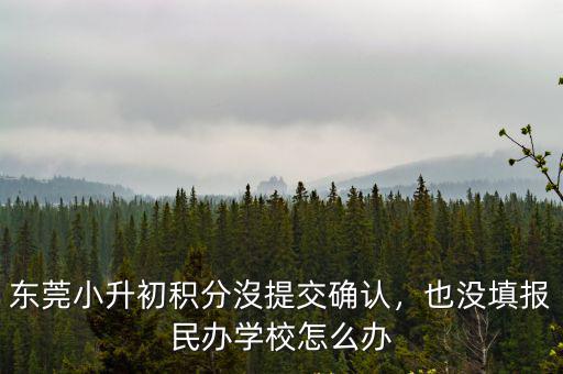 東莞小升初積分沒提交確認，也沒填報民辦學校怎么辦