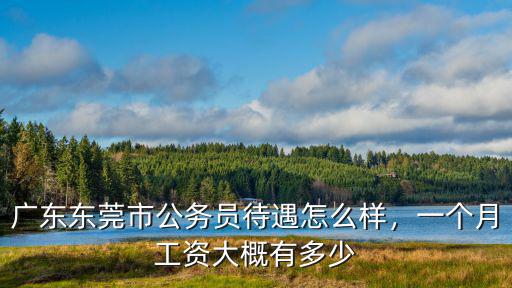 廣東公務員的工資是多少,廣東東莞市公務員待遇怎么樣