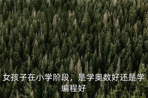 女孩子在小學階段，是學奧數好還是學編程好