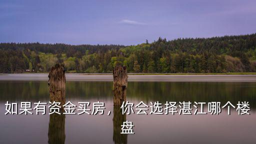如果有資金買房，你會(huì)選擇湛江哪個(gè)樓盤
