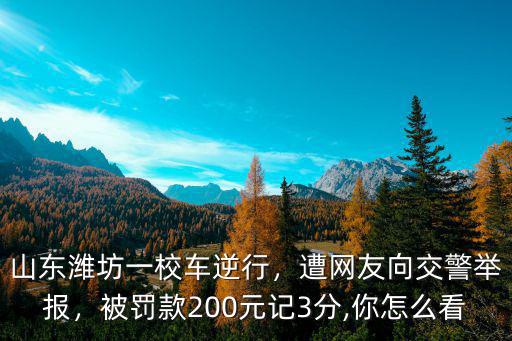 山東濰坊一校車逆行，遭網(wǎng)友向交警舉報(bào)，被罰款200元記3分,你怎么看