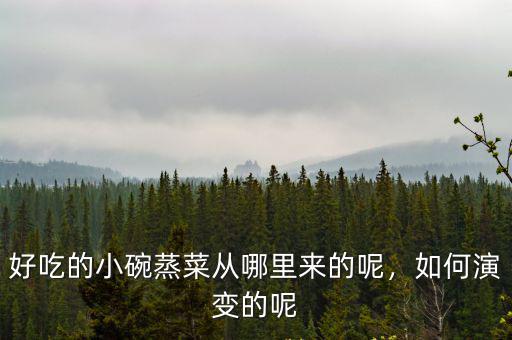 深圳哪里的瀏陽蒸菜好吃,好吃的小碗蒸菜從哪里來的呢