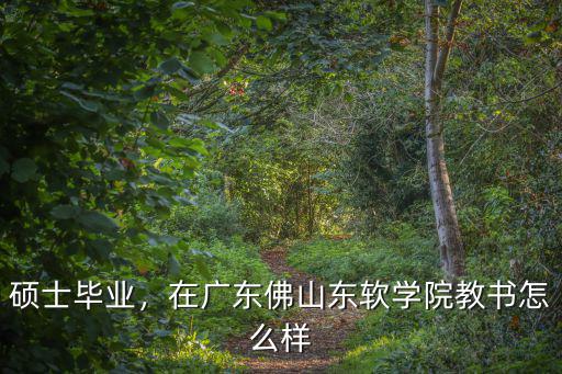 碩士畢業，在廣東佛山東軟學院教書怎么樣