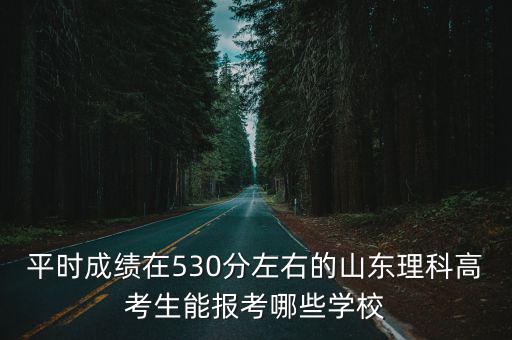 平時(shí)成績(jī)?cè)?30分左右的山東理科高考生能報(bào)考哪些學(xué)校