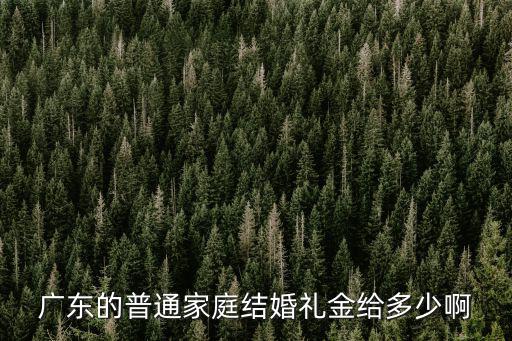 廣東的普通家庭結婚禮金給多少啊