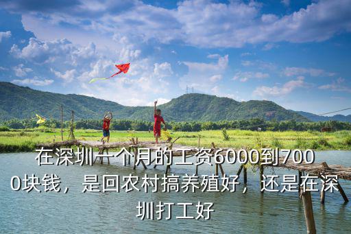 在深圳一個月的工資6000到7000塊錢，是回農村搞養殖好，還是在深圳打工好