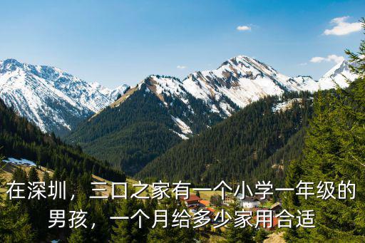 在深圳上小學一年級要多少錢,在深圳上民辦小學