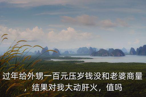 過年給外甥一百元壓歲錢沒和老婆商量，結果對我大動肝火，值嗎