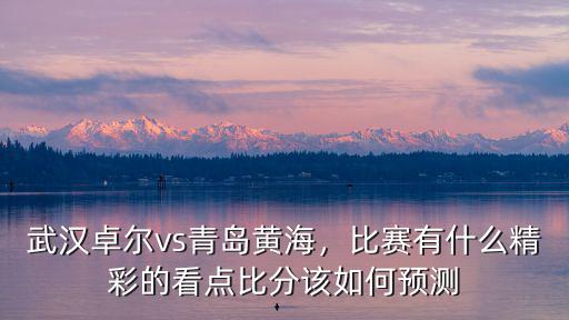 青島黃海比分是多少,武漢卓爾vs青島黃海