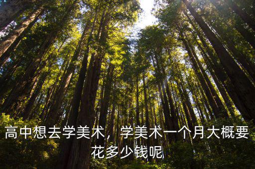 高中想去學美術，學美術一個月大概要花多少錢呢