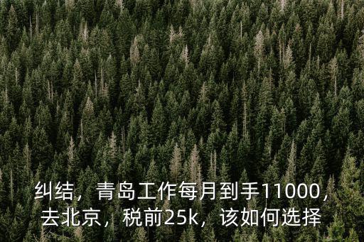 青島稅前6000到手多少錢,青島工作每月到手11000
