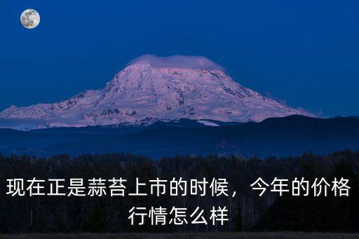 山東的蒜苔多少錢1斤,現在正是蒜苔上市的時候