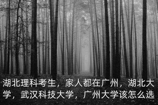 湖北理科考生，家人都在廣州，湖北大學，武漢科技大學，廣州大學該怎么選