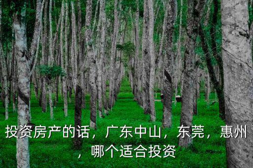 東莞惠州哪里適合投資,投資房產的話