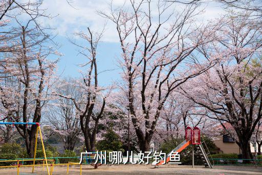 廣州東江北支流哪里可以釣魚,東江河釣魚用什么餌料