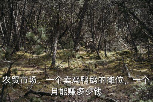 請問江門市哪里有賣雞鴨鵝苗,為什么卻很少有賣鵝的呢