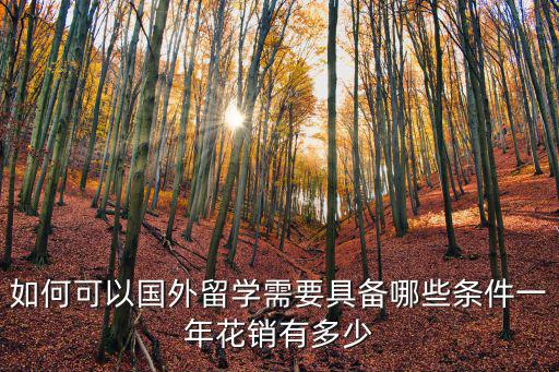 如何可以國外留學需要具備哪些條件一年花銷有多少