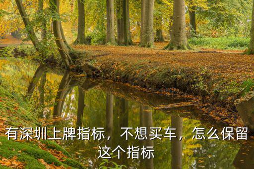 有深圳上牌指標，不想買車，怎么保留這個指標