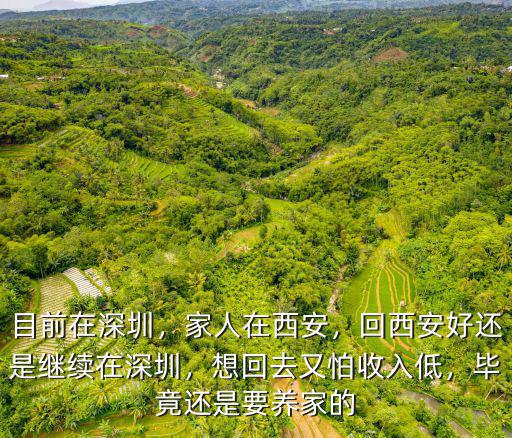 目前在深圳，家人在西安，回西安好還是繼續(xù)在深圳，想回去又怕收入低，畢竟還是要養(yǎng)家的