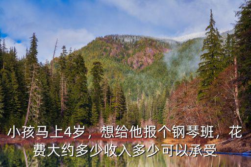 小孩馬上4歲，想給他報個鋼琴班，花費大約多少收入多少可以承受