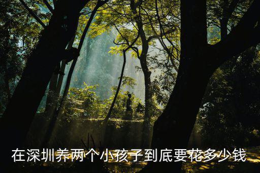 在深圳養(yǎng)兩個小孩子到底要花多少錢