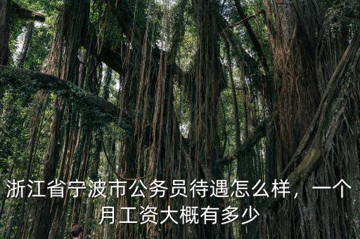 寧波普通人一個月生活費是多少,在寧波讀大學要多少生活費