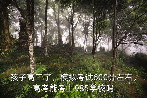 孩子高二了，模擬考試600分左右，高考能考上985學校嗎