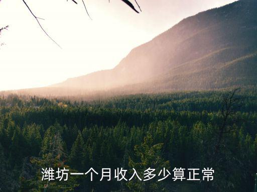 濰坊一個月收入多少算正常