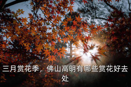 佛山哪里有三月泡,佛山周邊泡溫泉哪里好