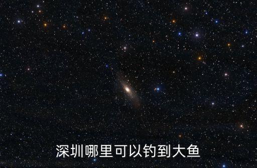 深圳羅湖海邊哪里可以釣魚,深圳哪里可以釣到大魚