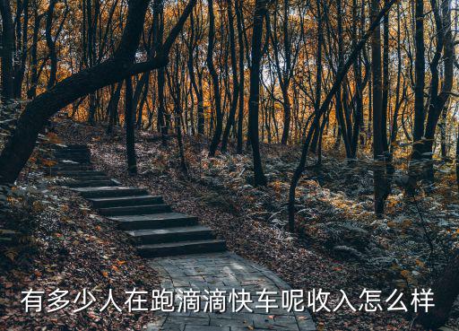 有雙證在寧波跑滴滴有多少流水,在泉州開滴滴一天流水有多少