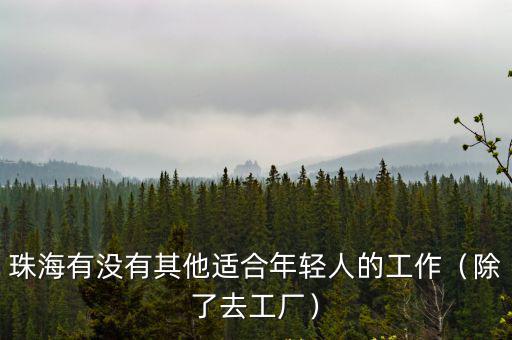 珠海有沒有其他適合年輕人的工作（除了去工廠）