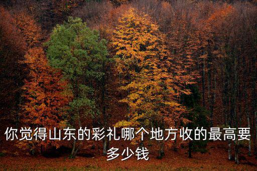 山東巨野縣的彩禮是多少,我山東菏澤巨野縣的