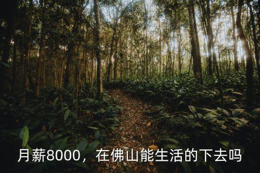 月薪8000，在佛山能生活的下去嗎