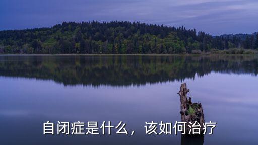 自閉癥是什么，該如何治療