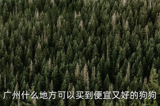 廣州哪里有過布樸的,廣州有哪些城中村