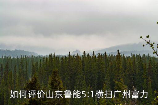 山東魯能與廣州富力比賽哪里直播,廣州富力主場迎戰山東魯能
