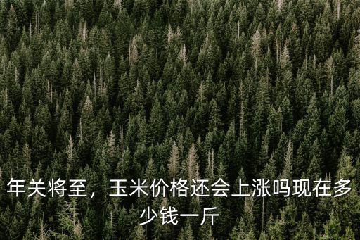 年關將至，玉米價格還會上漲嗎現(xiàn)在多少錢一斤