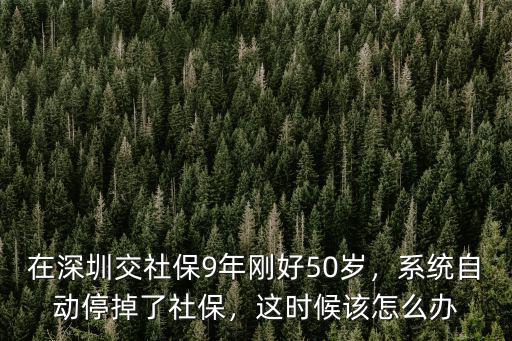 深圳公司停交社保怎么辦,在深圳交社保9年剛好50歲