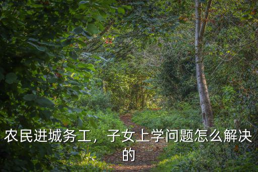 農(nóng)民進城務(wù)工，子女上學(xué)問題怎么解決的