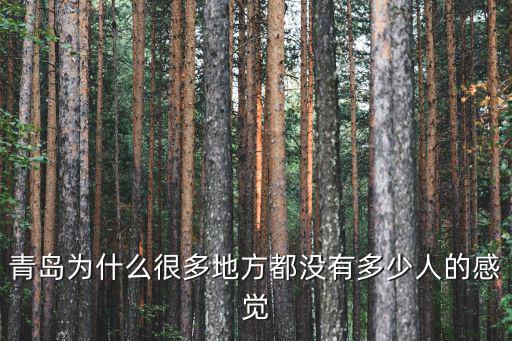 青島為什么很多地方都沒有多少人的感覺