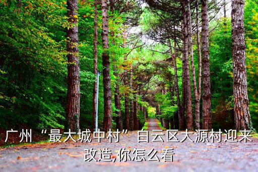 廣州城中村怎么,廣州有城中村