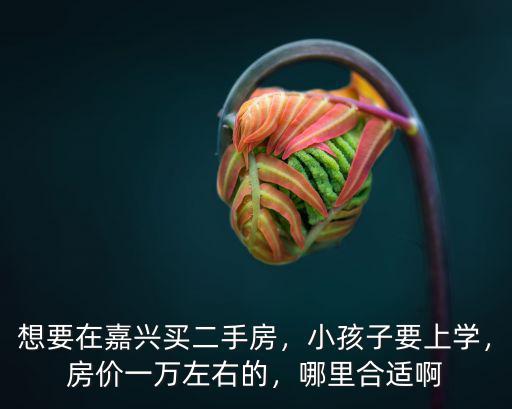 嘉興王店二手房的價格是多少,房價一萬左右的