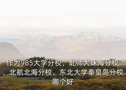 作為985大學分校，北師大珠海分校，北航北海分校，東北大學秦皇島分校哪個好