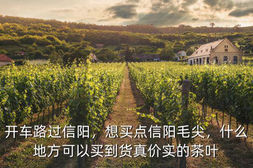信陽毛尖深圳哪里有賣的,想買點信陽毛尖
