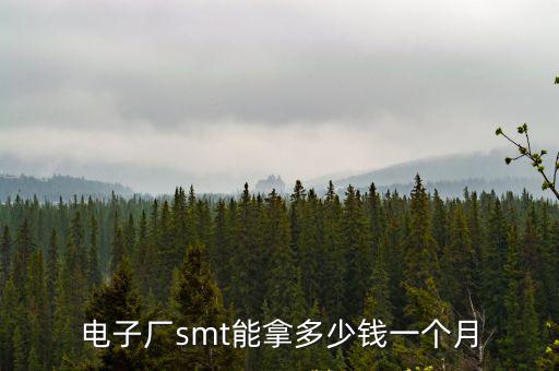 佛山電子廠工資能拿多少錢一個月,佛山的平均工資是多少