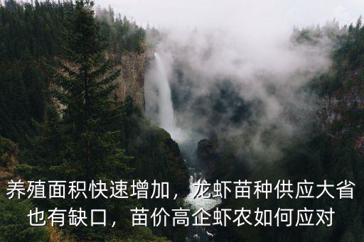 養(yǎng)殖面積快速增加，龍蝦苗種供應(yīng)大省也有缺口，苗價(jià)高企蝦農(nóng)如何應(yīng)對(duì)