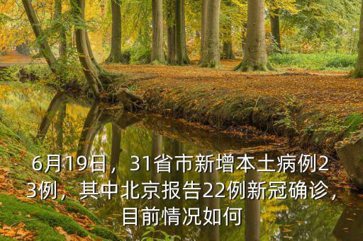 6月19日，31省市新增本土病例23例，其中北京報告22例新冠確診，目前情況如何