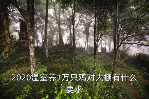 2020山東聊城養的雞有多少,養肉雞的朋友